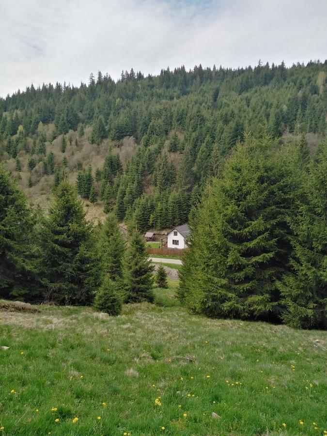 Csillag Kulcsoshaz Villa Gheorgheni  Exterior photo